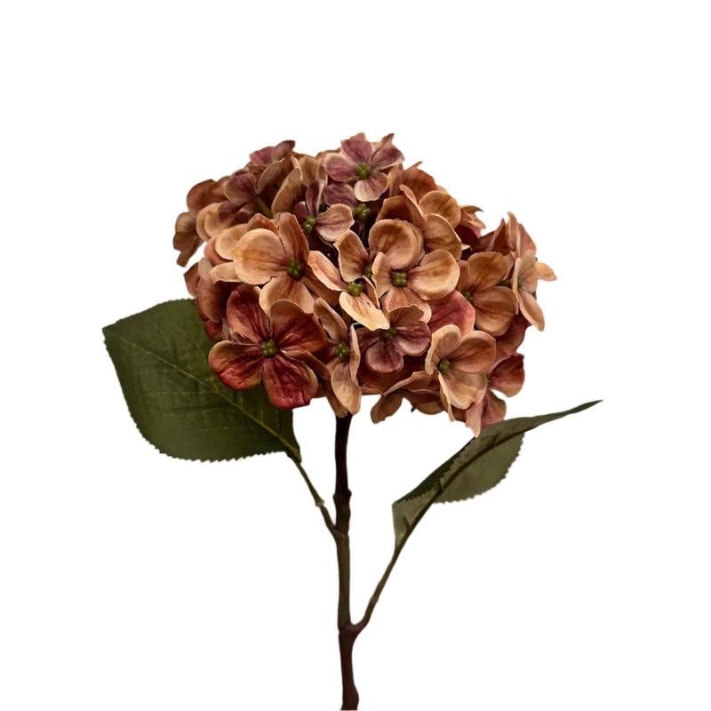 Apricot Faux Hydrangea Stem