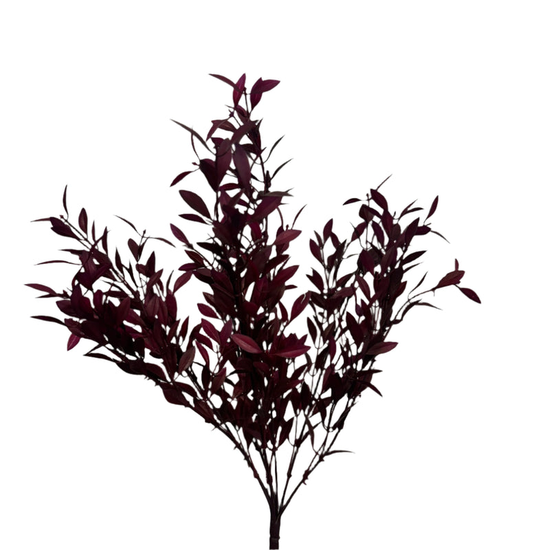 Burgundy Willow Stem