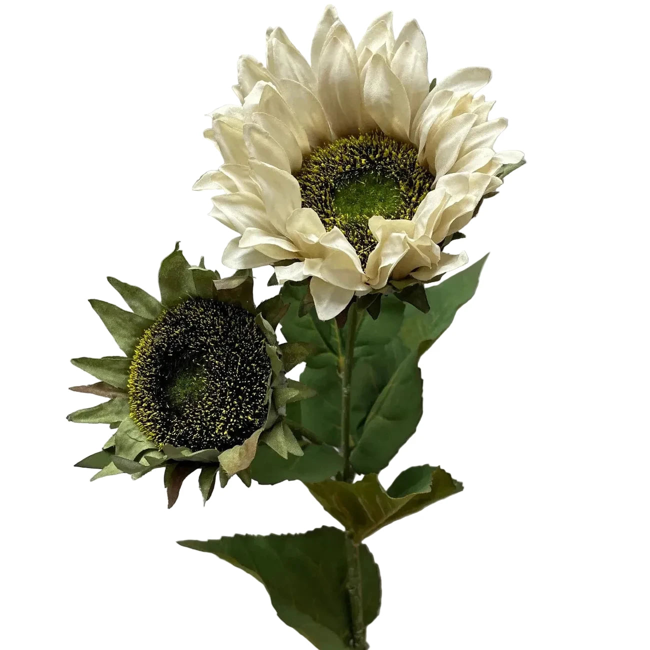 Cream Sunflower Spray