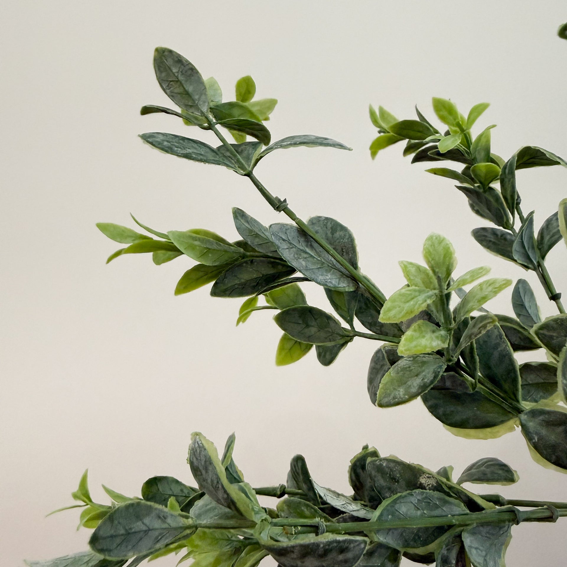 Ruscus Greenery Faux Stem