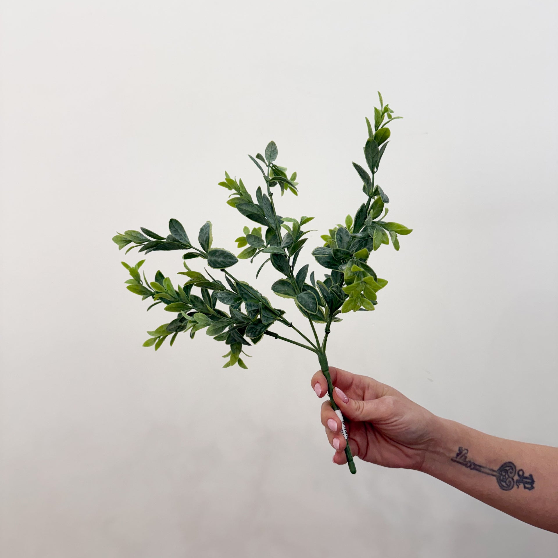 Ruscus Greenery Faux Stem