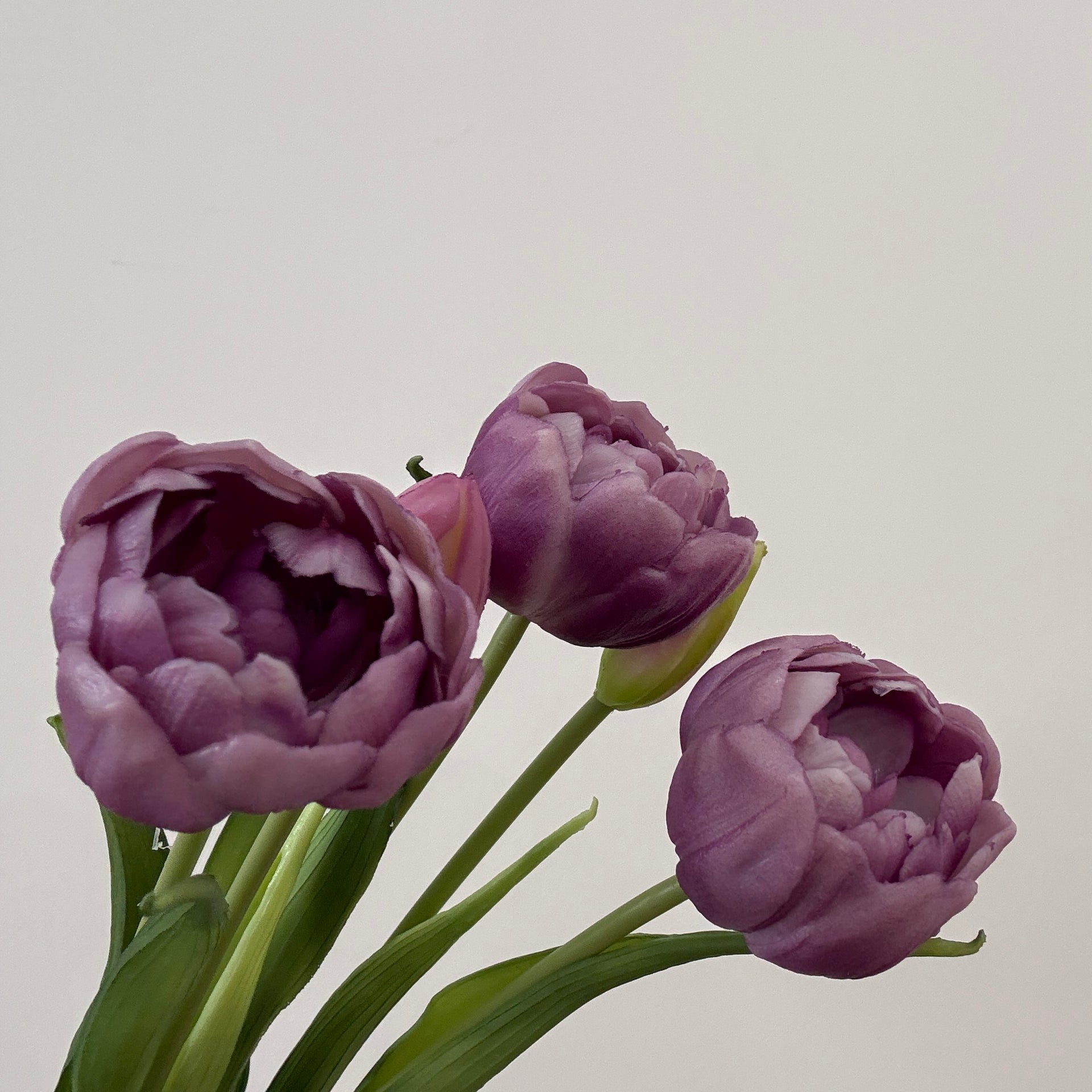 Real Touch Lavender Double Peony Tulip Bundle