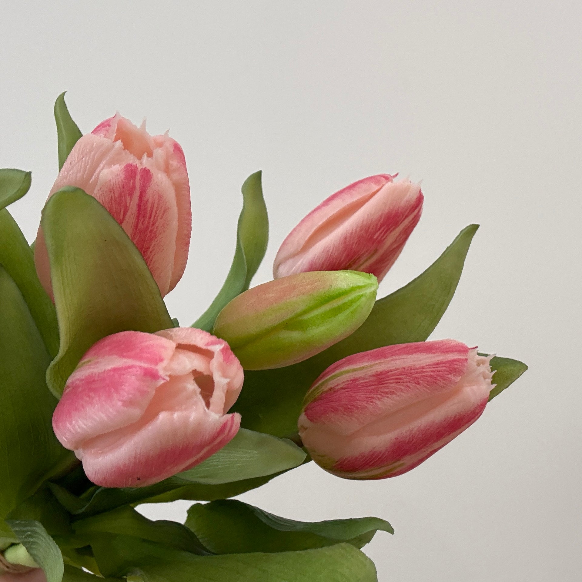 Real Touch 12in Pink Tulip Bundle