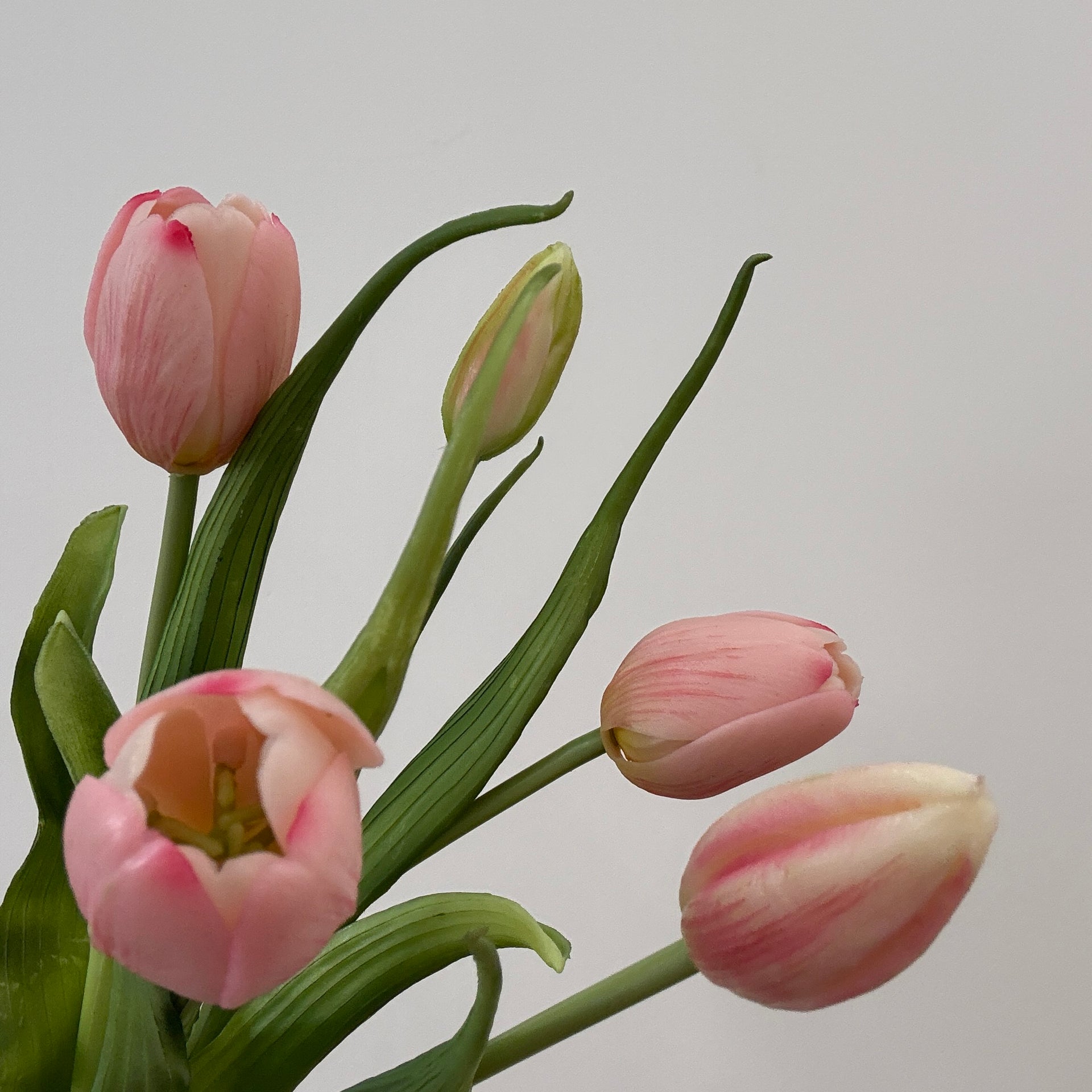 Real Touch Dynasty Pink Tulip Bundle