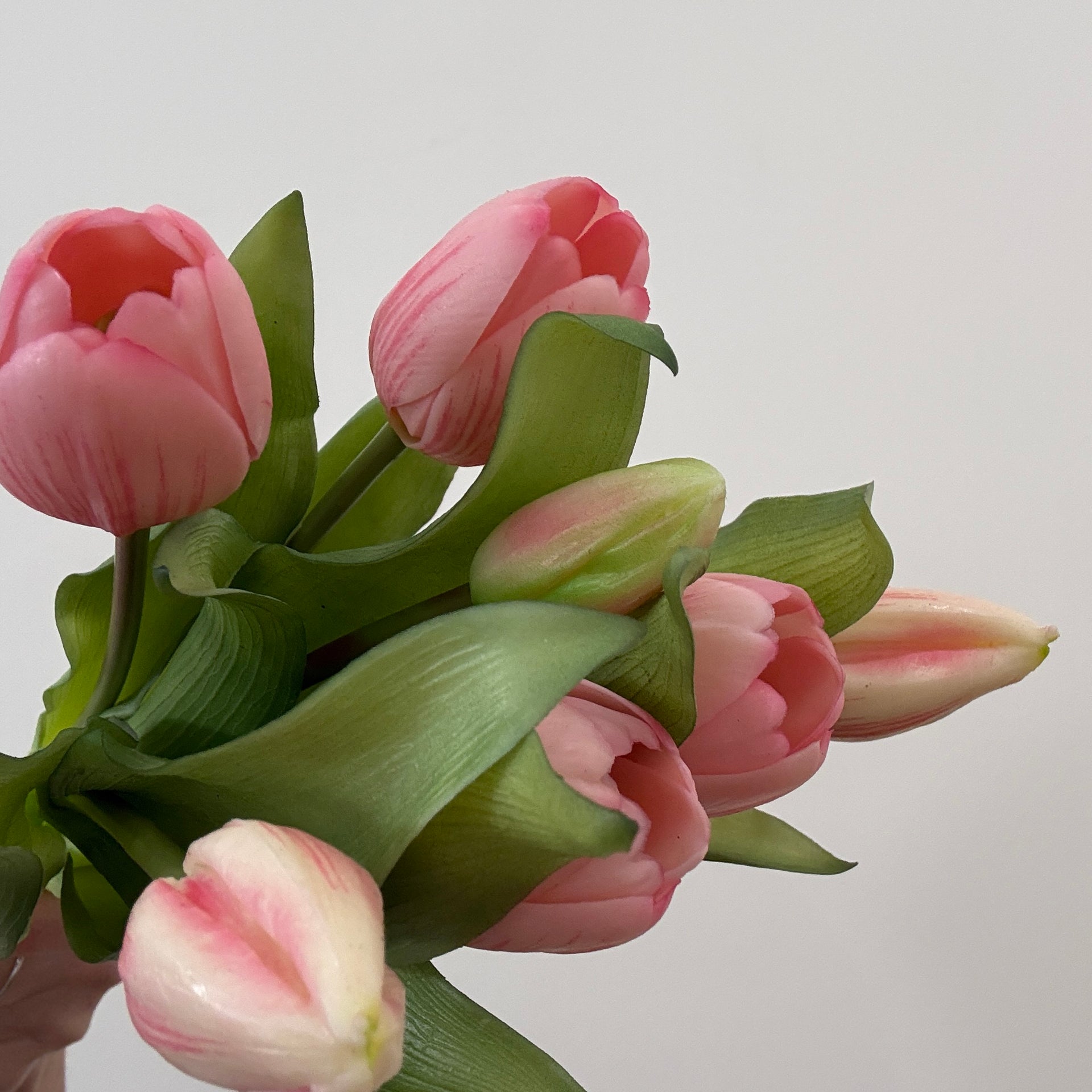 Real Touch Cotton Candy Pink Formosa Tulip Bundle