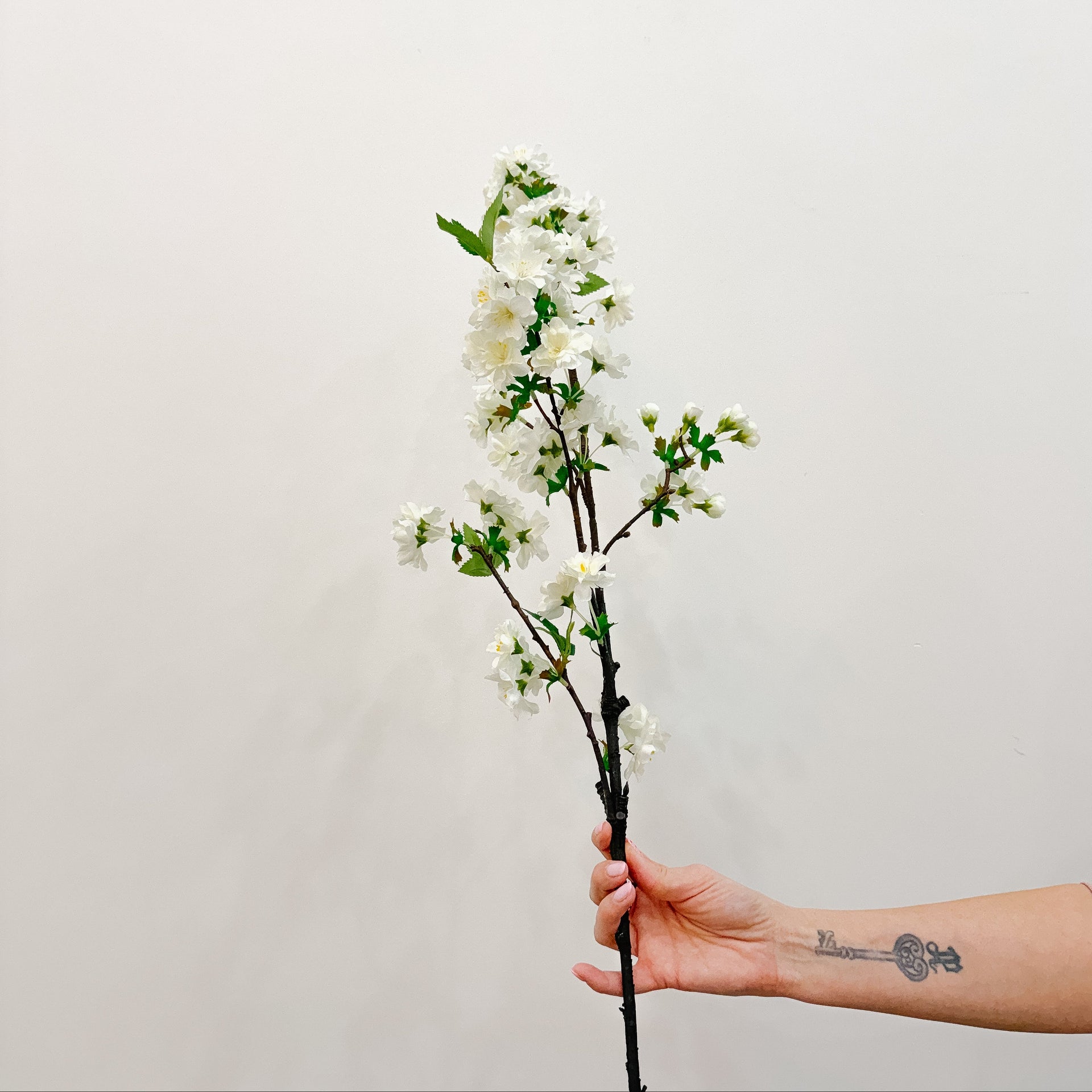 Cherry Blossom Stem