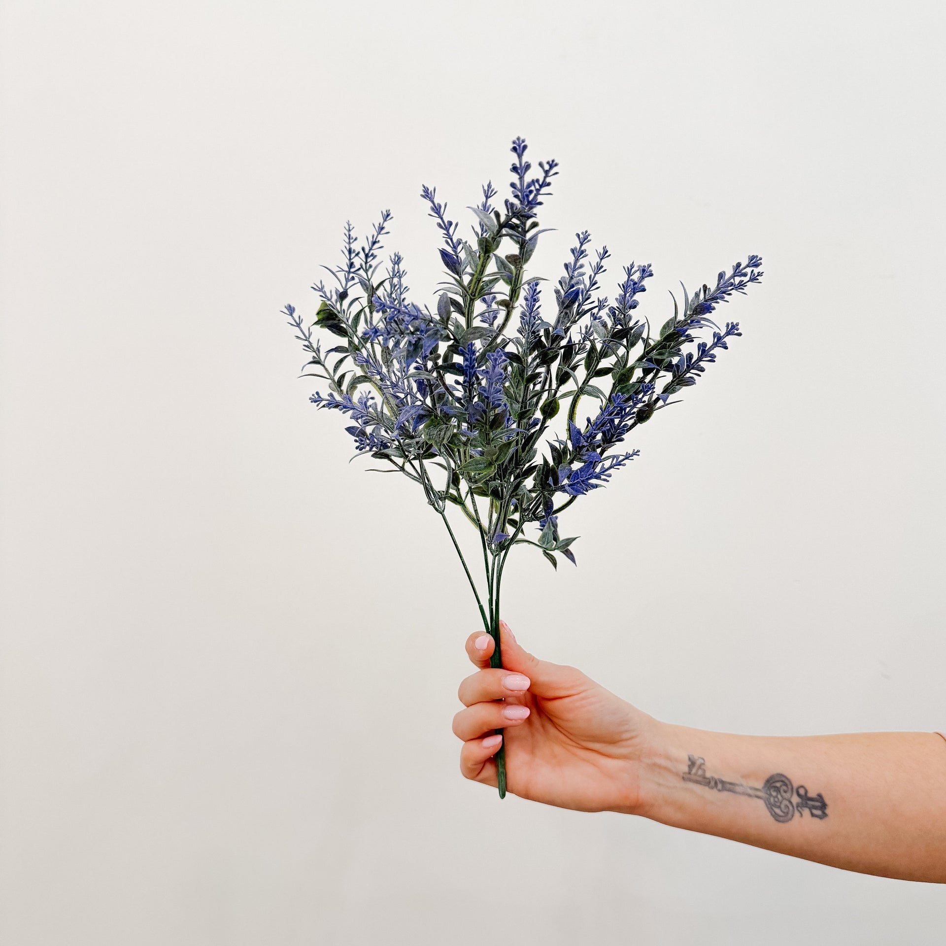 Hand holding a bouquet of lavender against a plain background