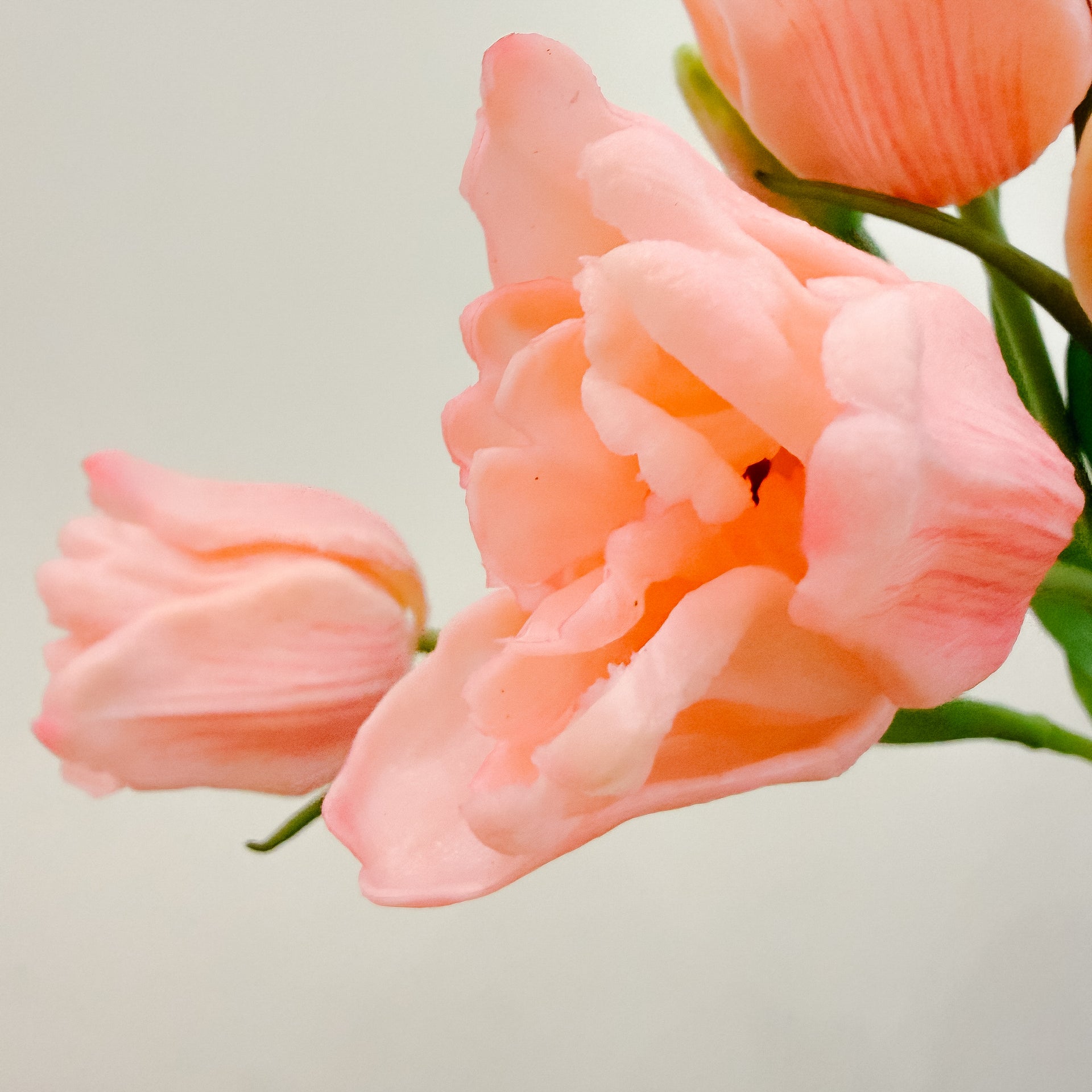 Real Touch Ruffled Pink Tulips