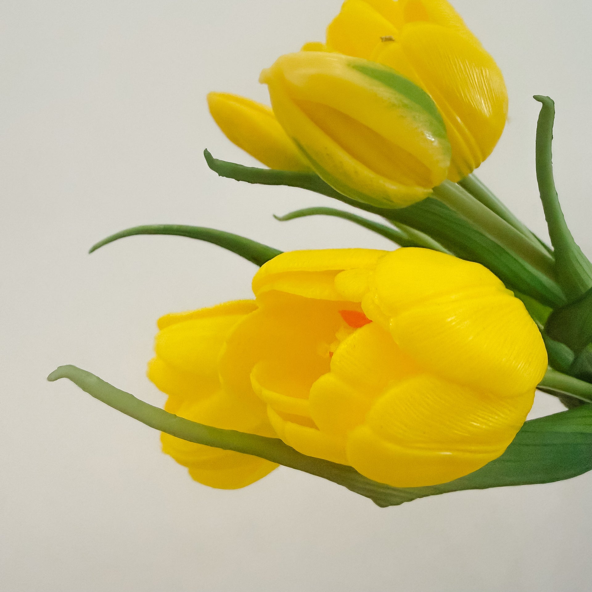 Real Touch Yellow Tulip Bundle