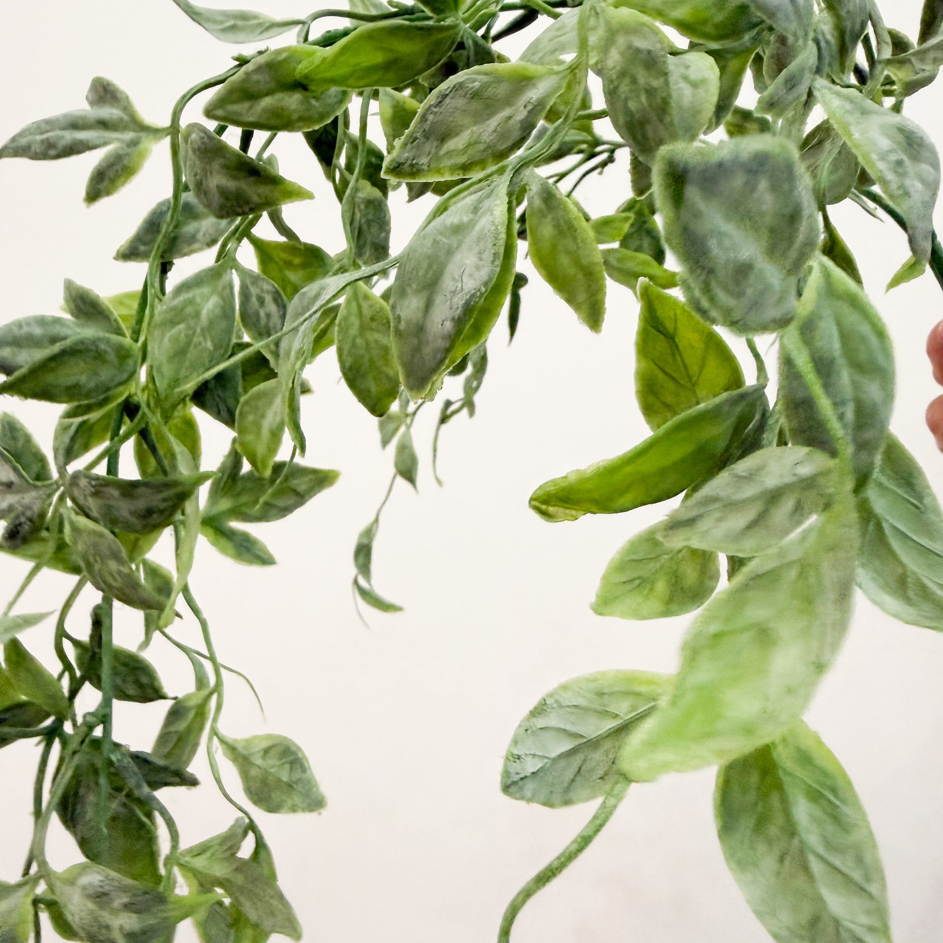 Hanging Greenery Spray