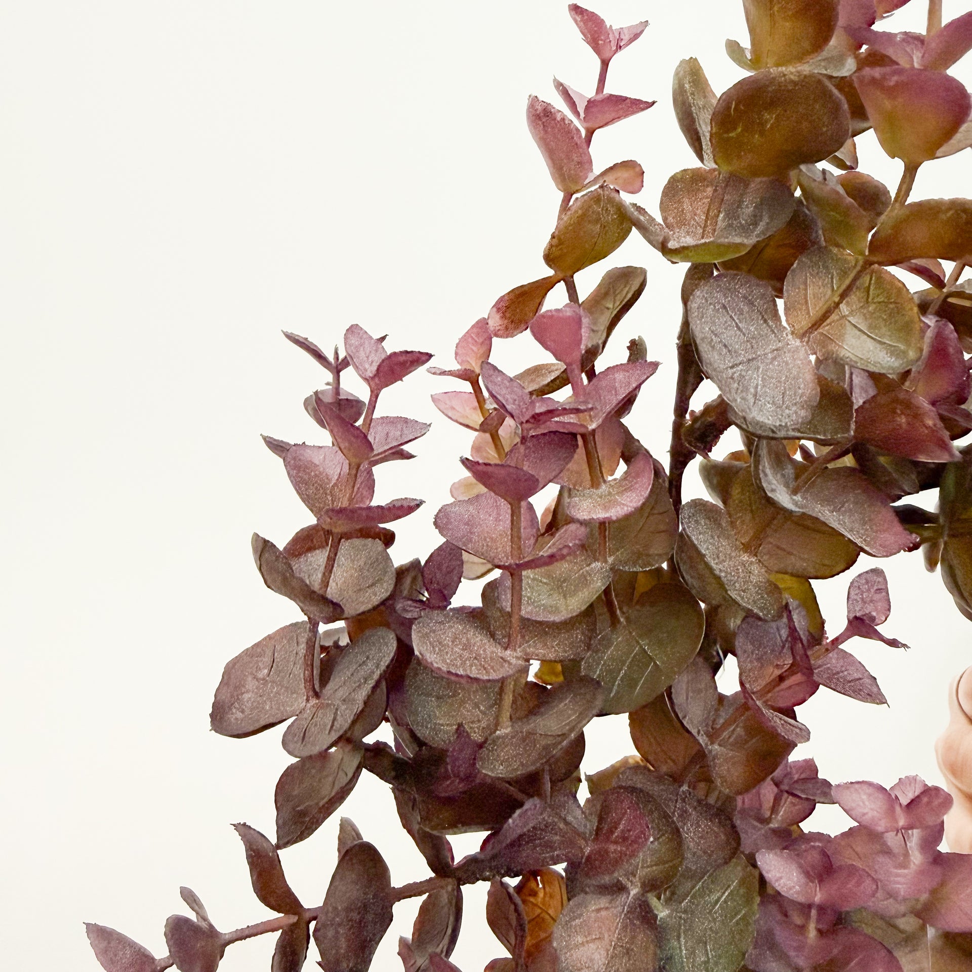 Burgundy Eucalyptus Candle Ring