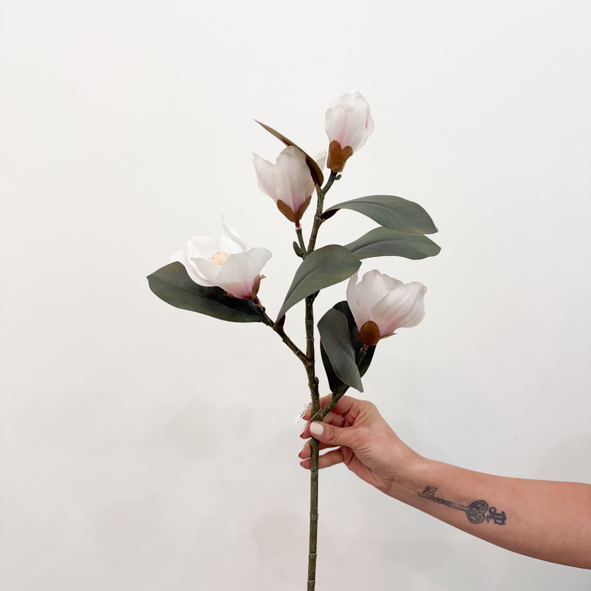 White Blush Magnolia Spray