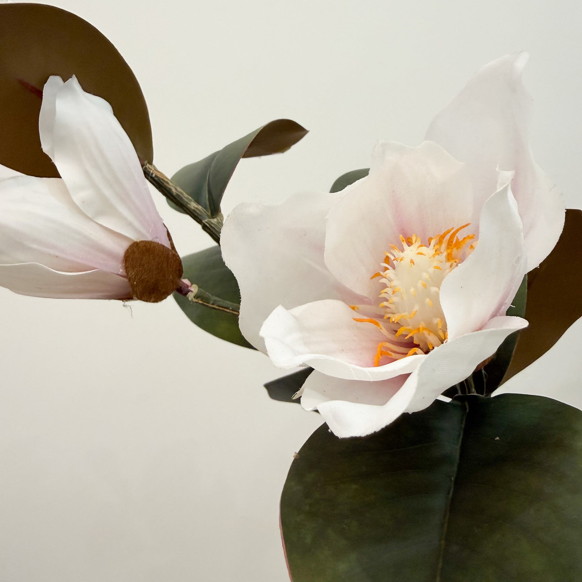 White Blush Magnolia Spray