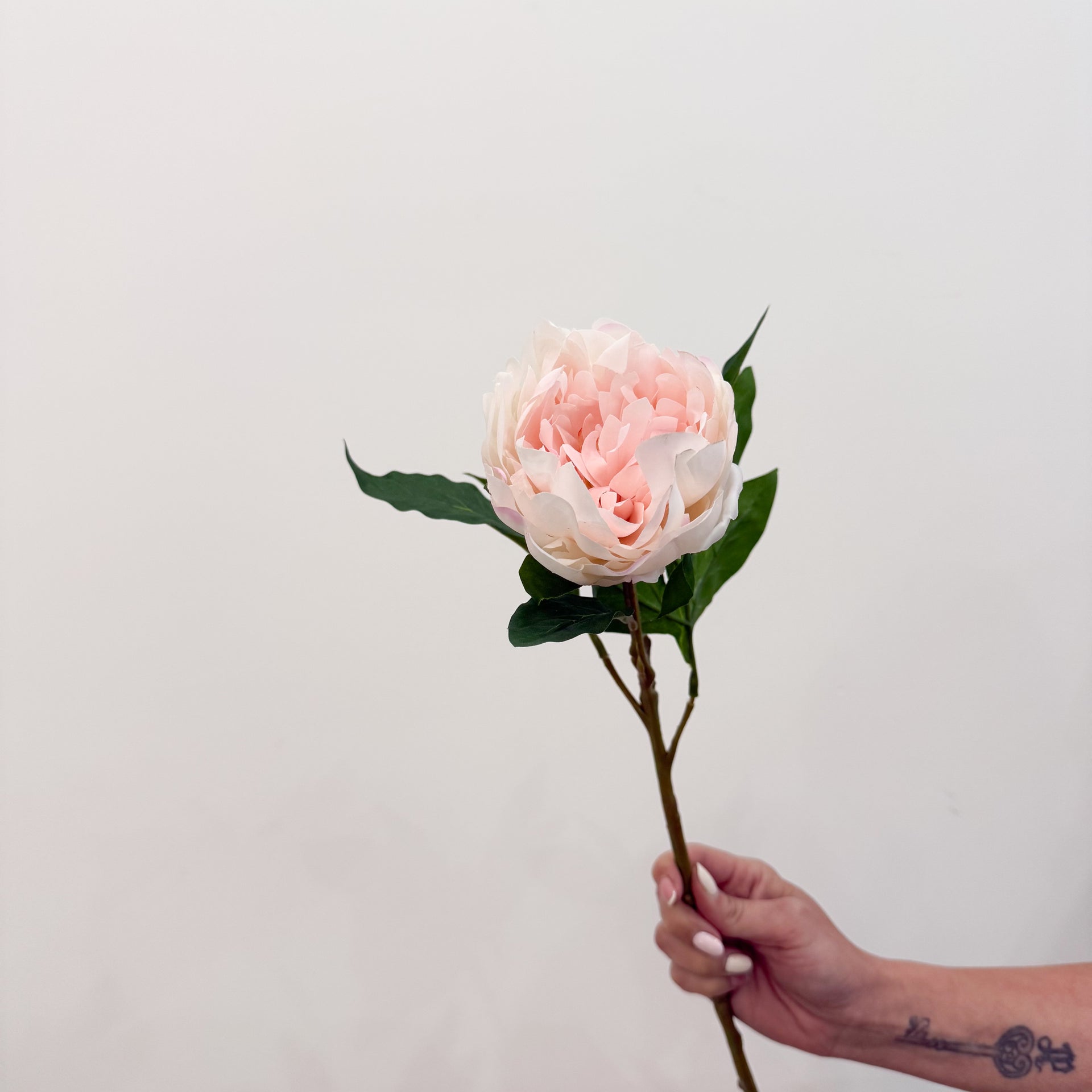 Blush Peony Stem