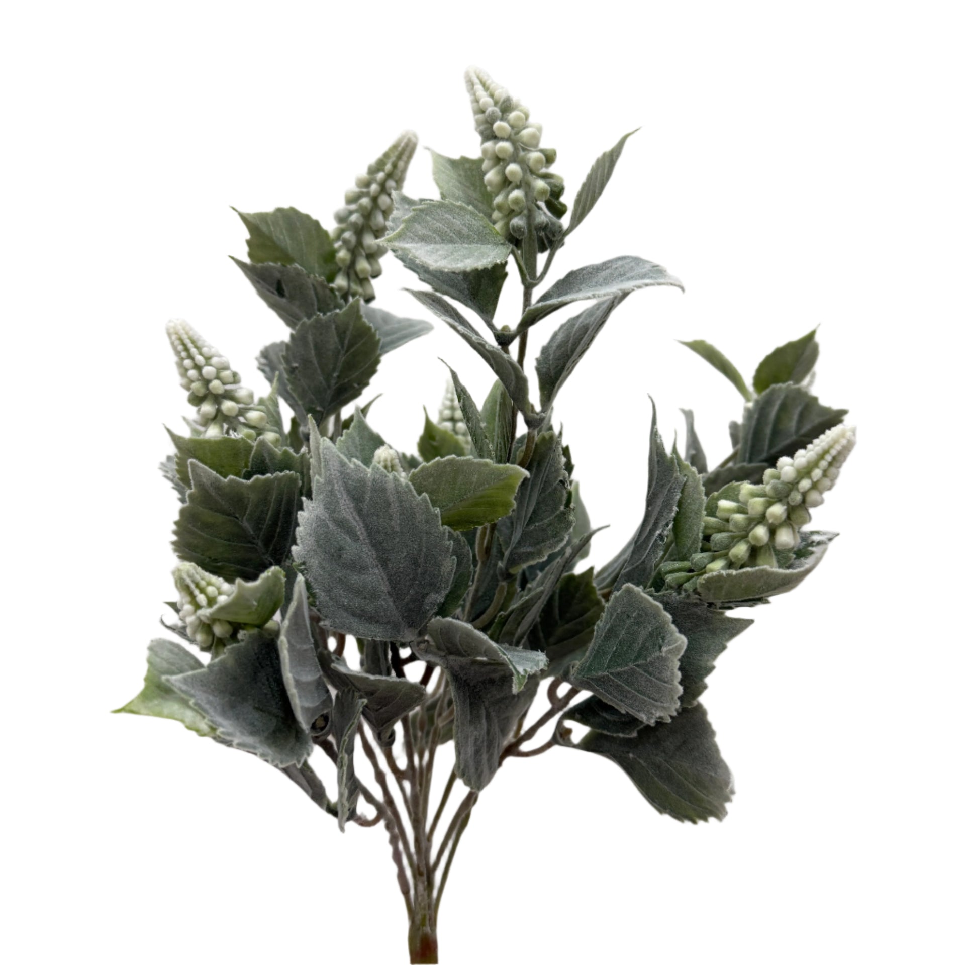 Hyacinth Stem