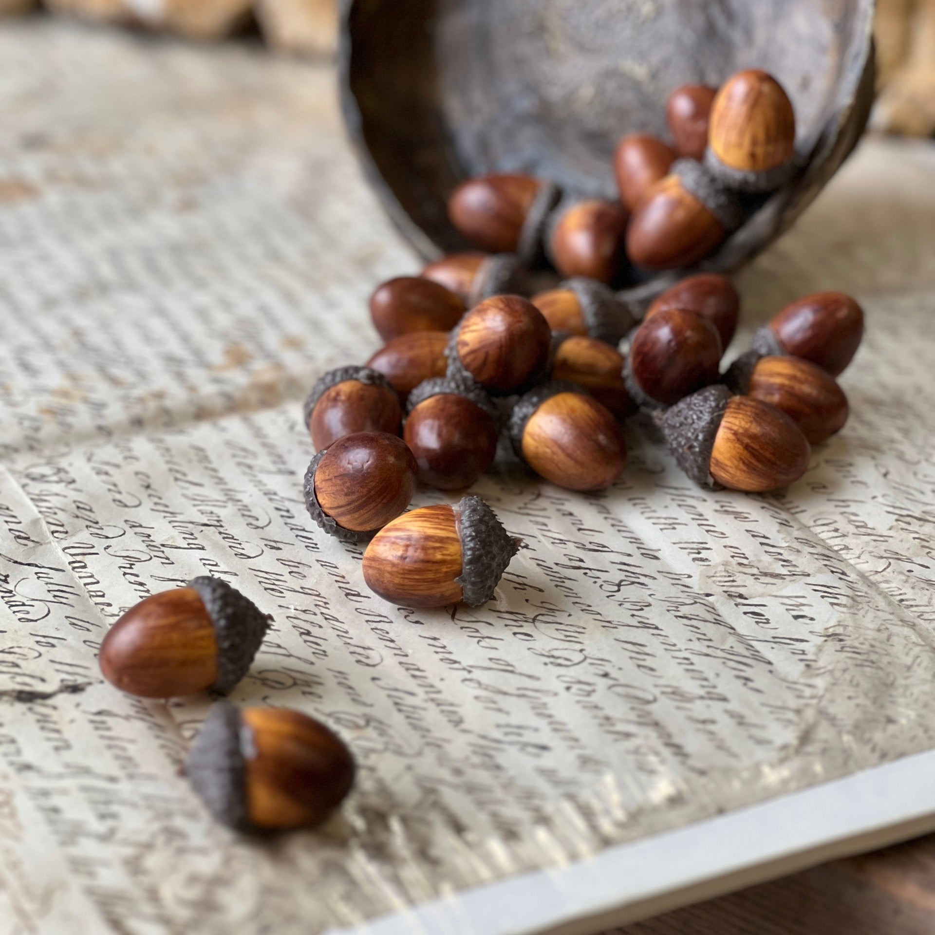 Oakwood Acorns