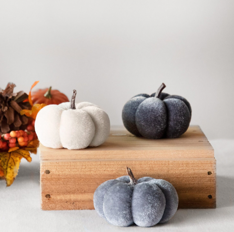 3 Cool Coloured Mini Velvet Pumpkins
