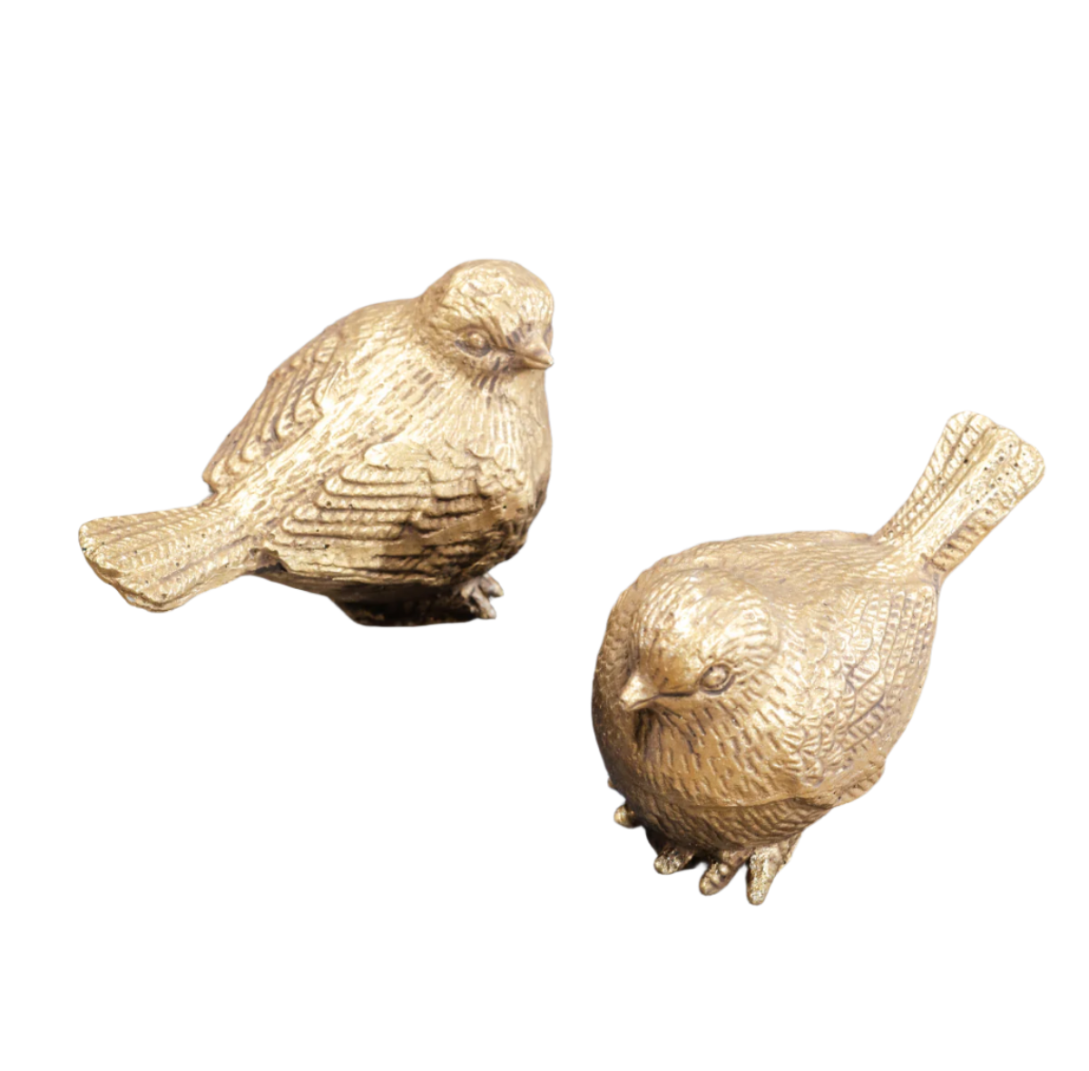 Gold Bird