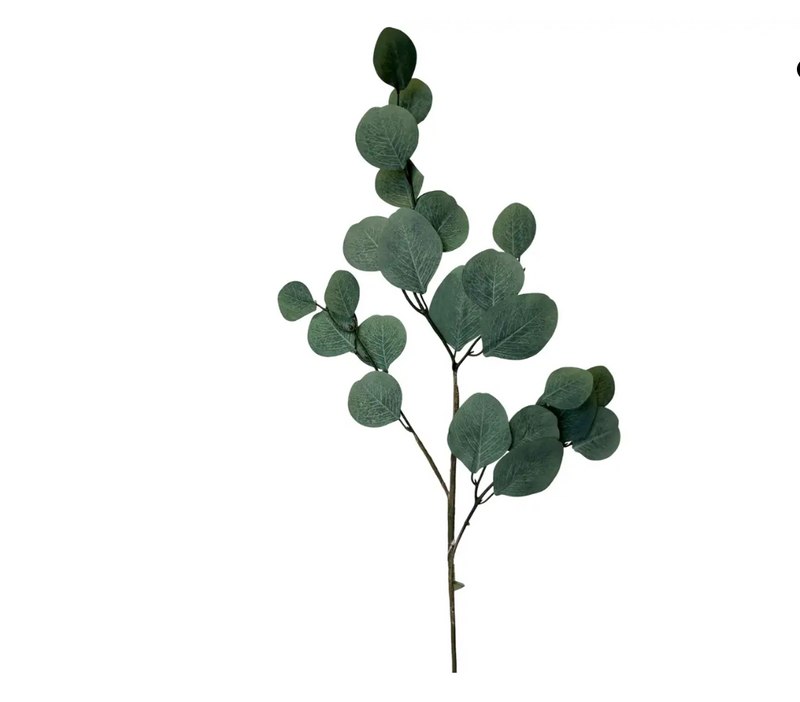 Silver Dollar Eucalyptus Stem