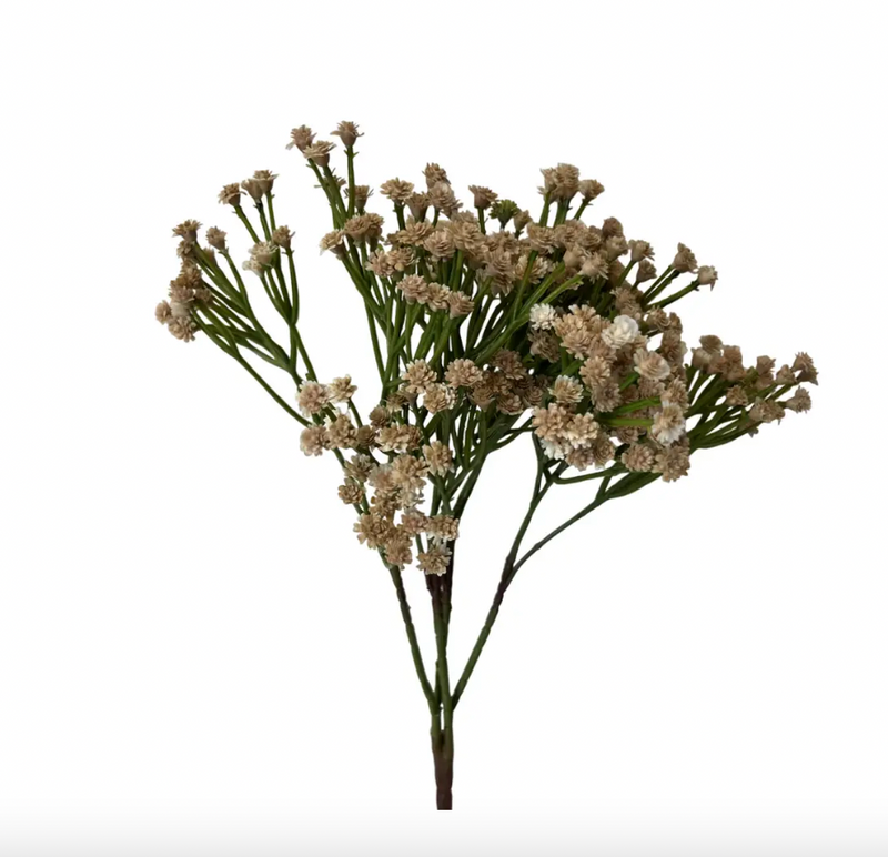 Taupe Babys Breath Stem