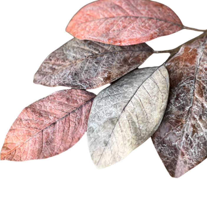 Magnolia Leaf Stem