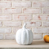 Terracotta Pumpkin