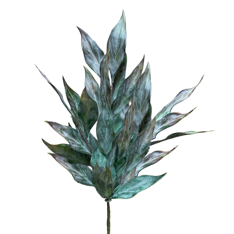 Burgundy Green Leaf Stem