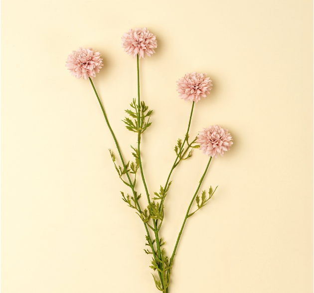 Pink Mini Chrysanthemum