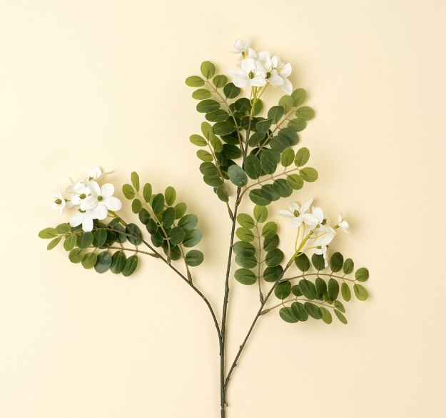 Locust Flower Branch