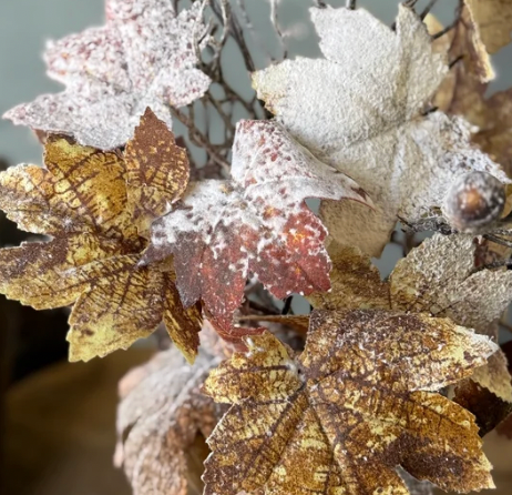 Frosted autumn grapevine branch with brown and gold leaves dusted in white faux snow, shown in a close-up shot.