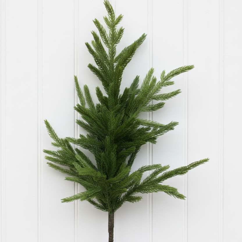 Fresh Touch Norfolk Pine Stem