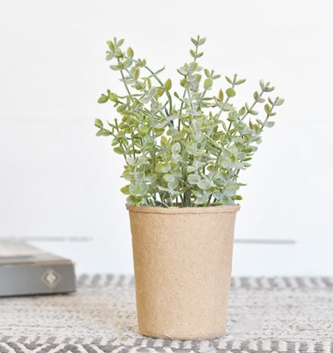 Dusty Greens in Paper Pot