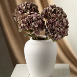 Faded Purple Hydrangea Stem