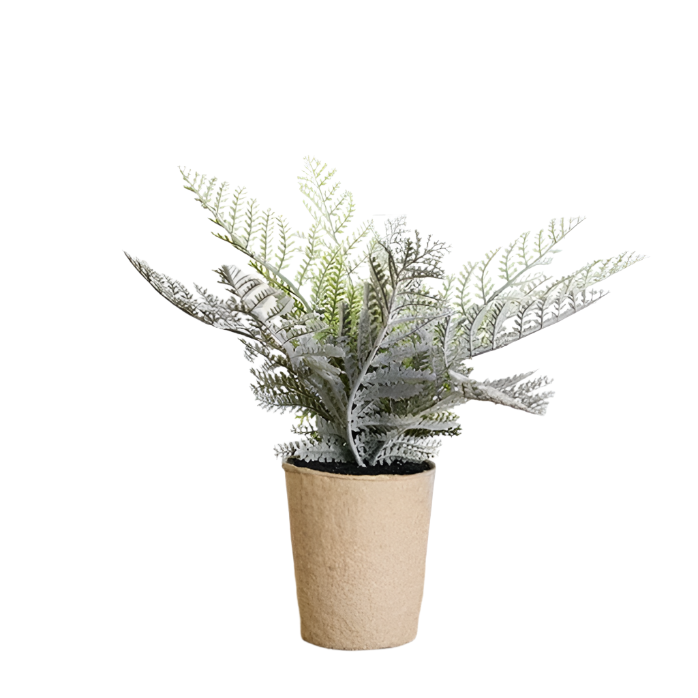 Paper Pot Fern