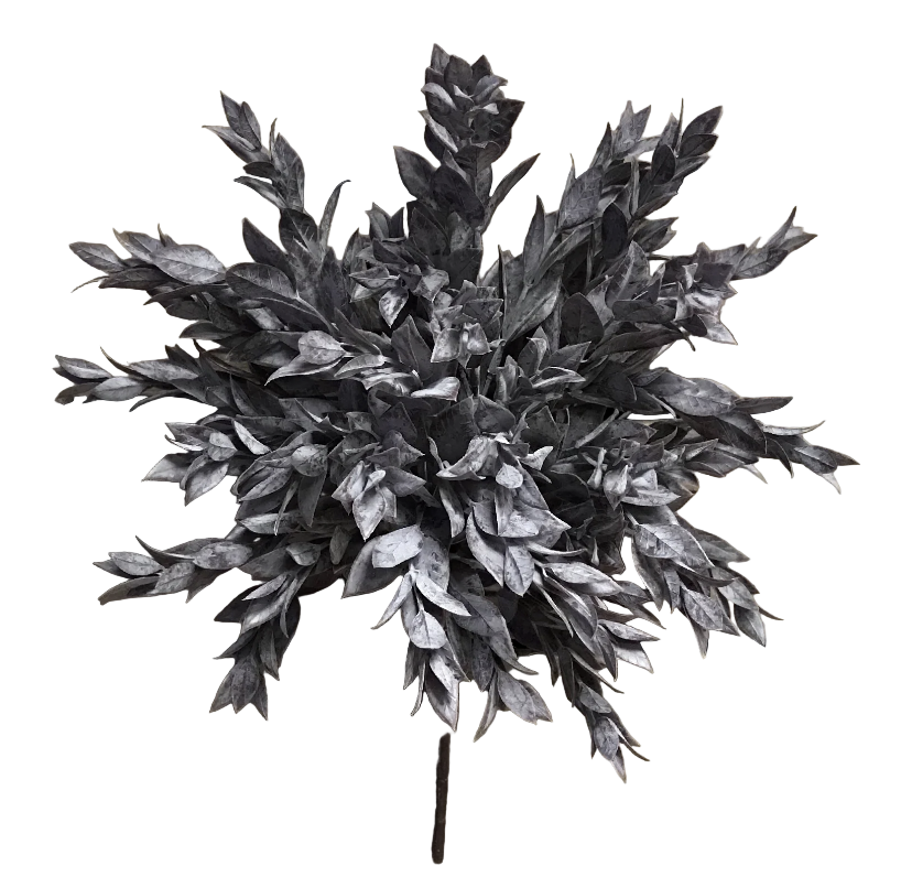 Dusty Plum Ruscus Stem