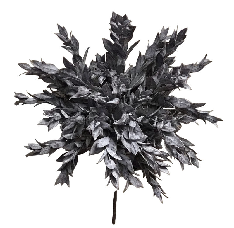 Dusty Plum Ruscus Stem