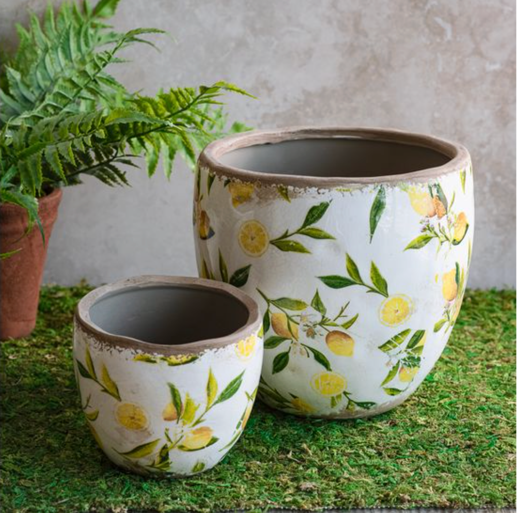 Lemon Planter