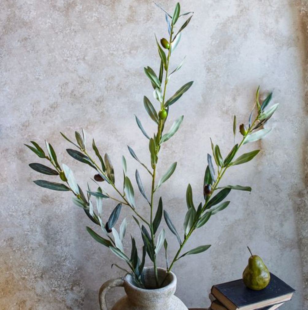 Olive Stem