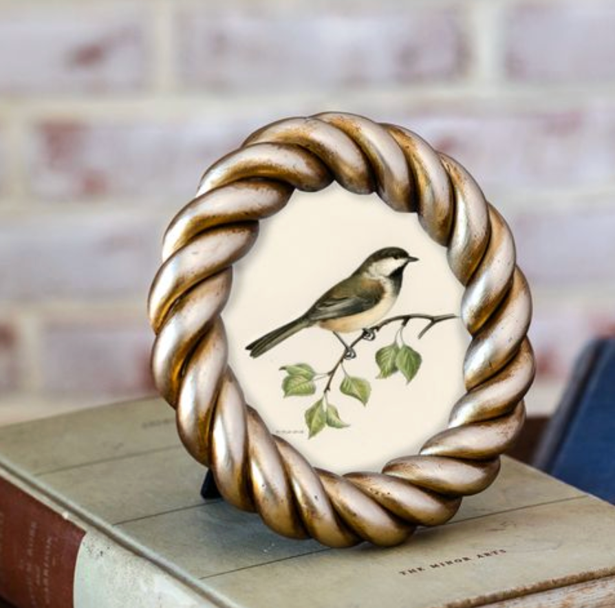 Round Gold Rope Frame