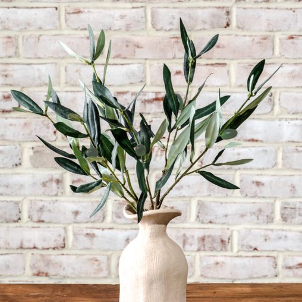Olive Stems