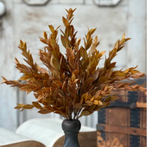Sienna Bush