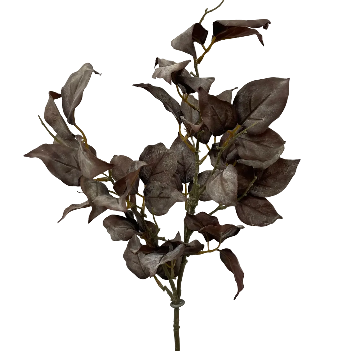 Burgundy Dried Leaf Spray