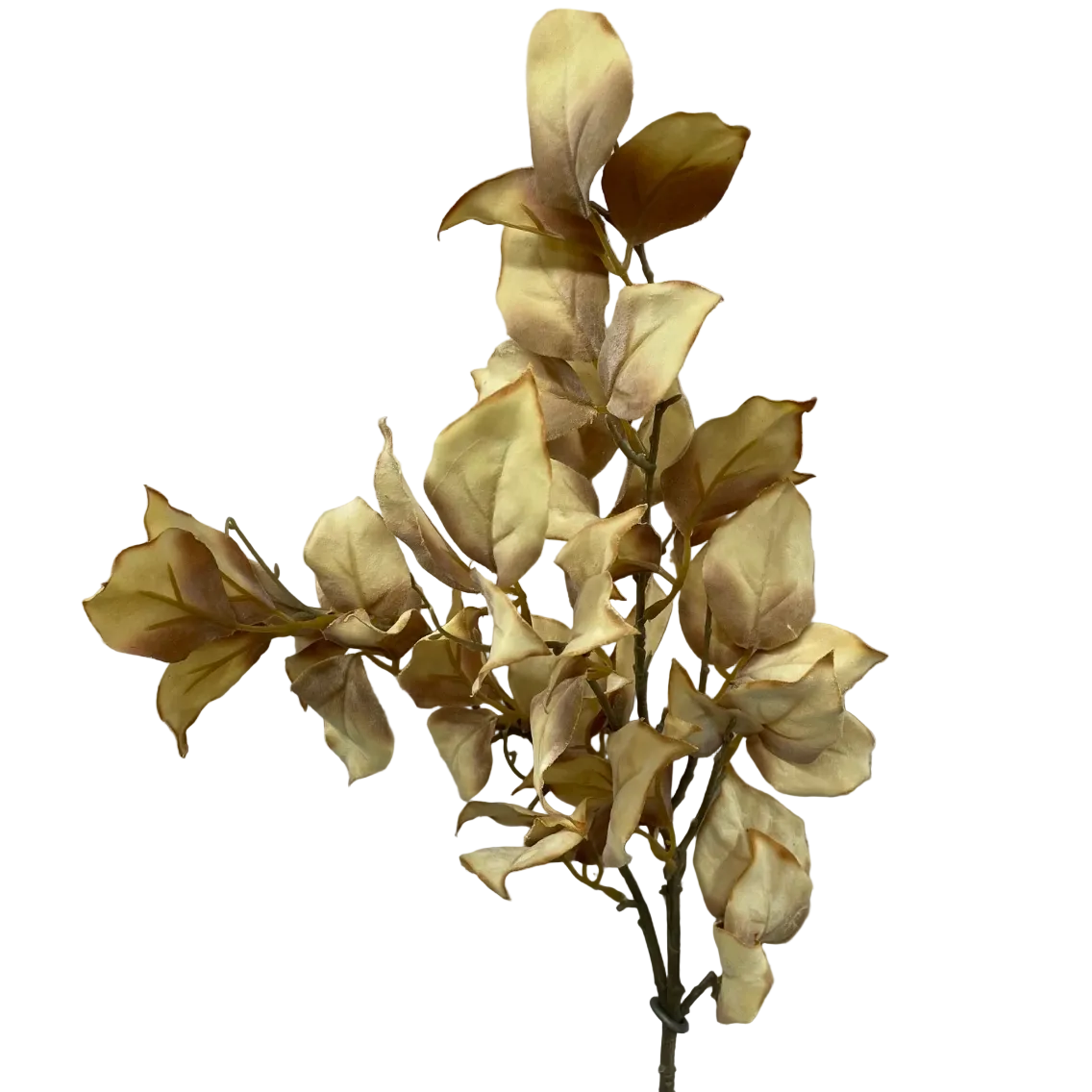 Cream Dried Leaf Spray