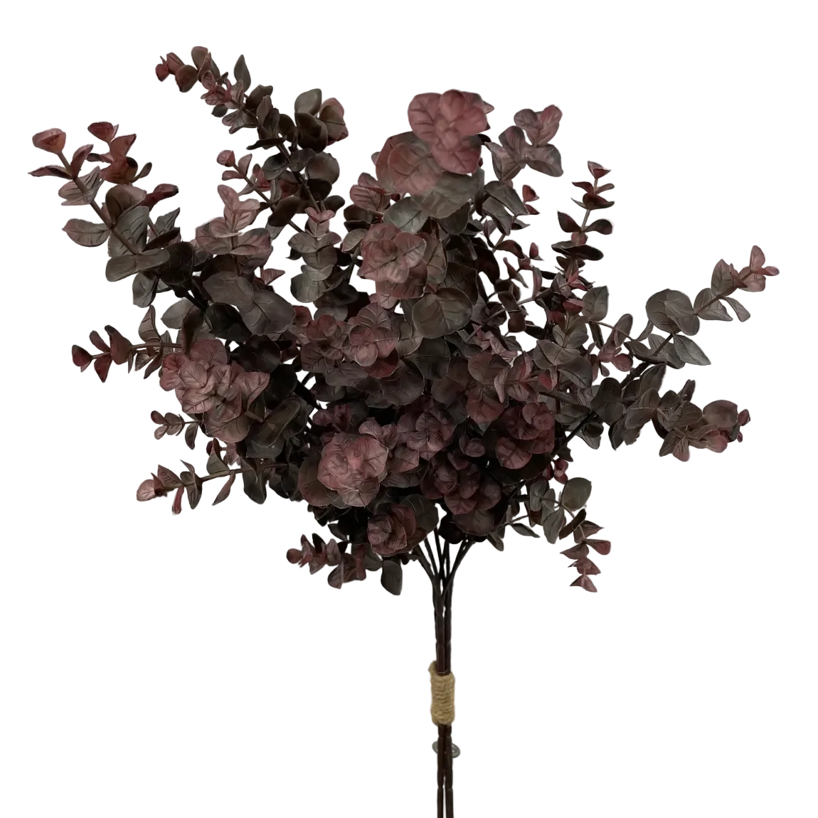 Burgundy Eucalyptus Bundle