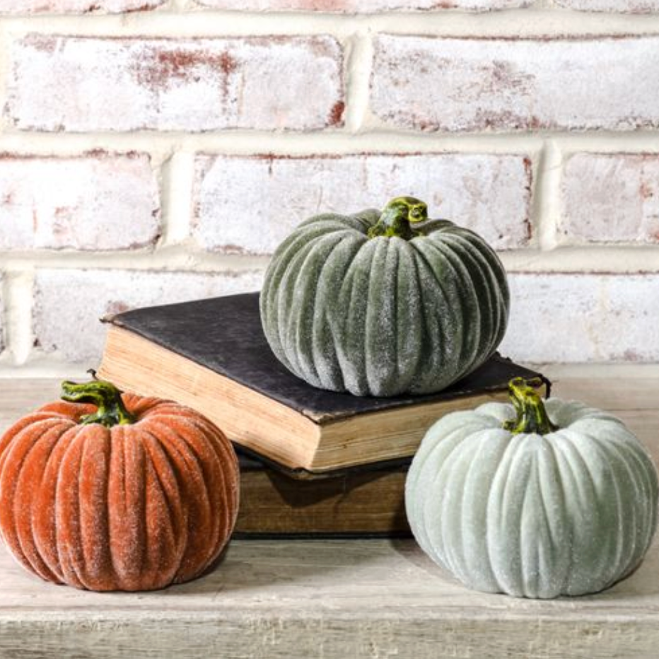 Velvet Pumpkin