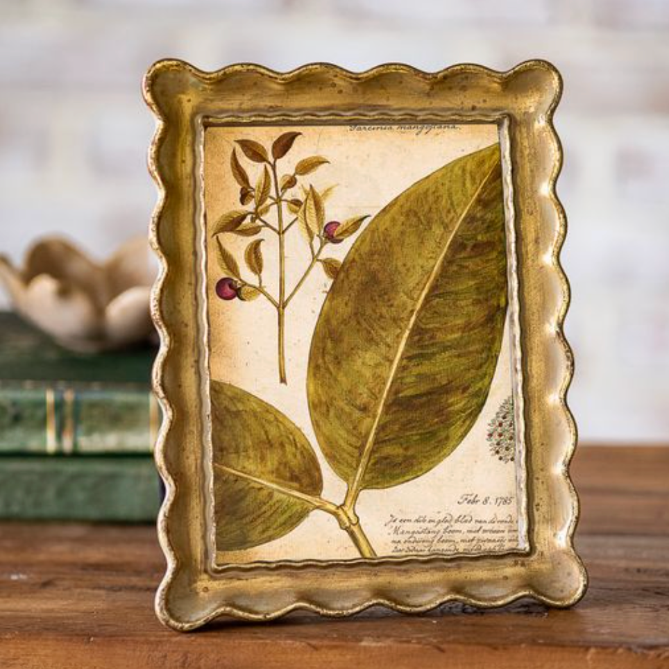 Antique Gold Scallop Edge Frame