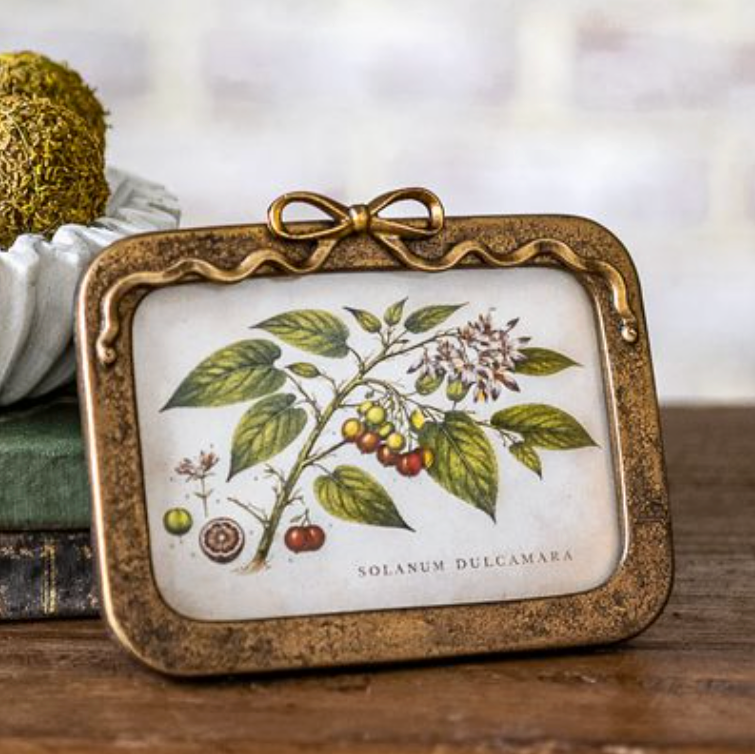 Antique Gold Bow Frame
