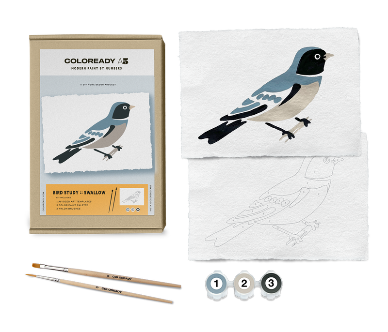 Swallow Paint by Numbers Kit