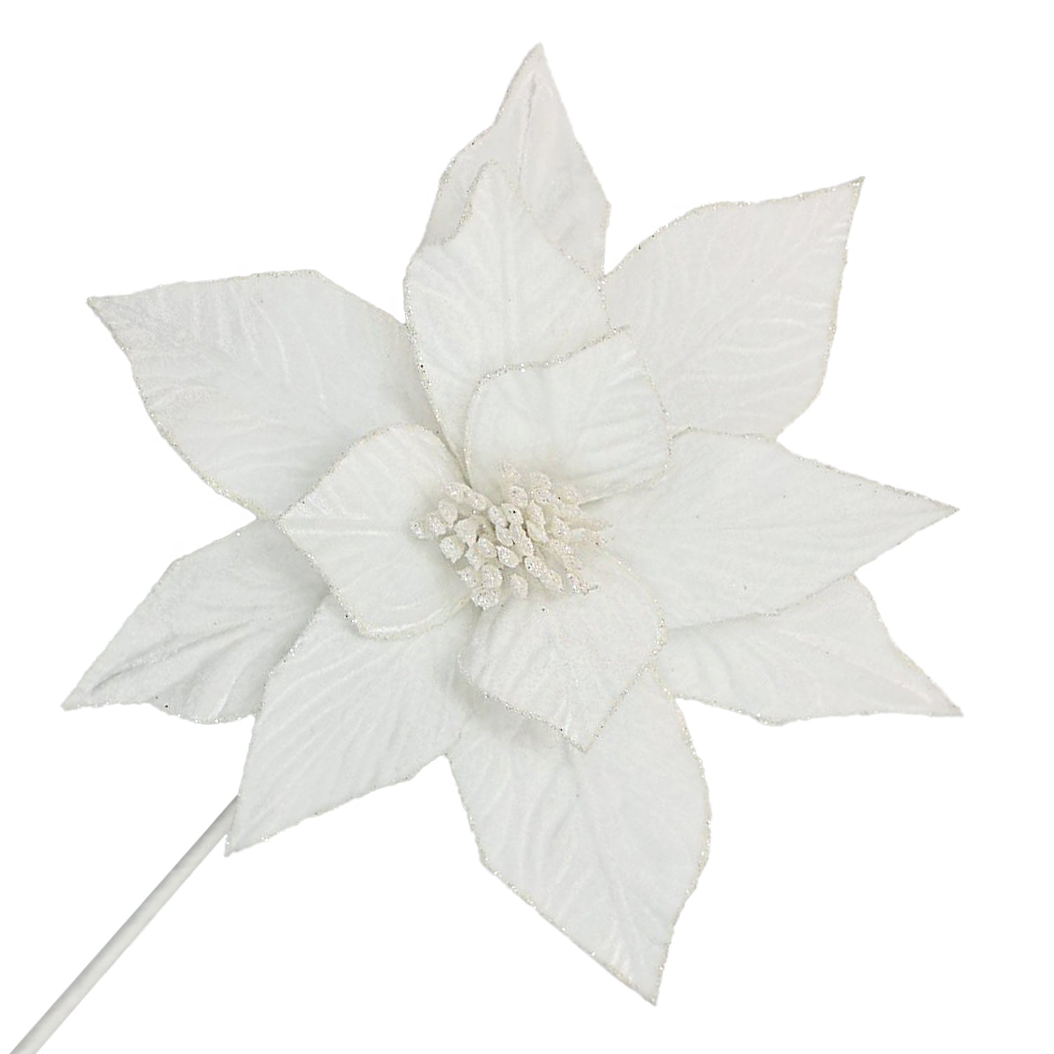 White Poinsettia Stem
