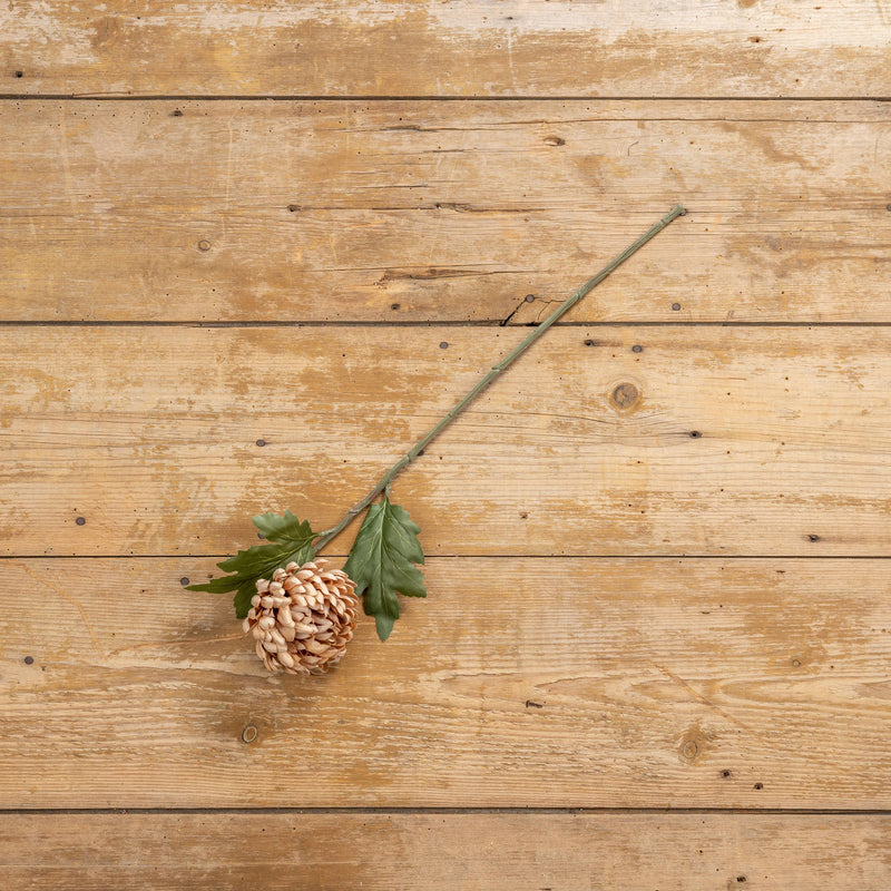 Straw Mum Stem